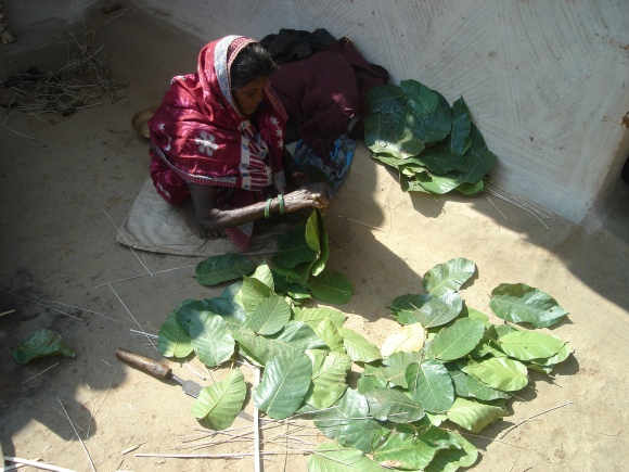 courtesy: Ms. Usha Athaley  रायगढ़ जिले के ग्राम तिलगा में पत्तल-दोना बनाती महिला